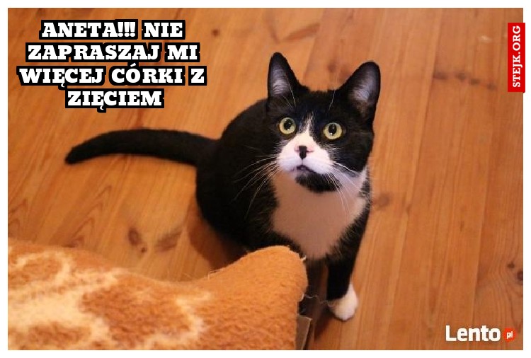 ANETA!!! Nie zapraszaj mi więcej córki z zięciem