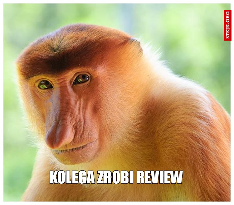 Kolega zrobi review