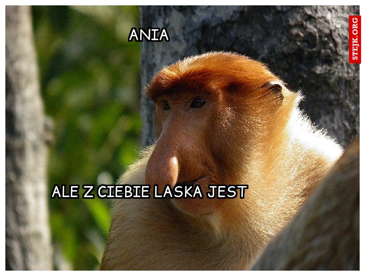ANIA