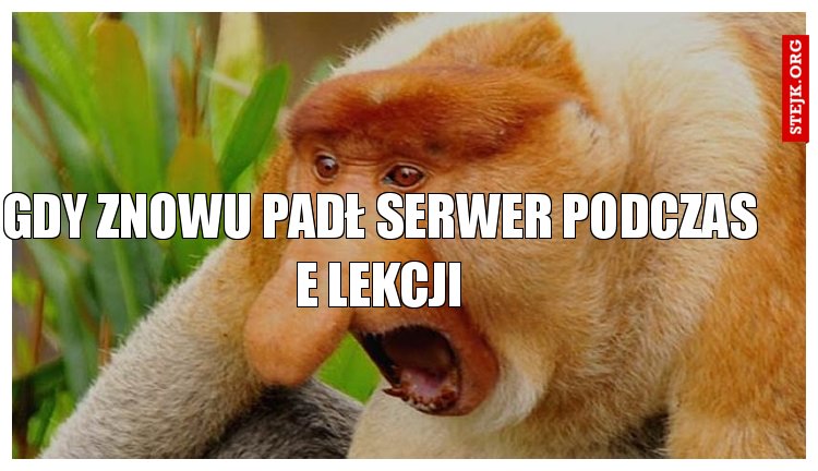 gdy znowu padł serwer podczas e lekcji