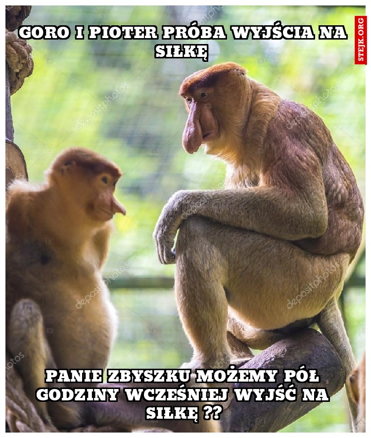 Goro i pioter próba wyjścia na siłkę 