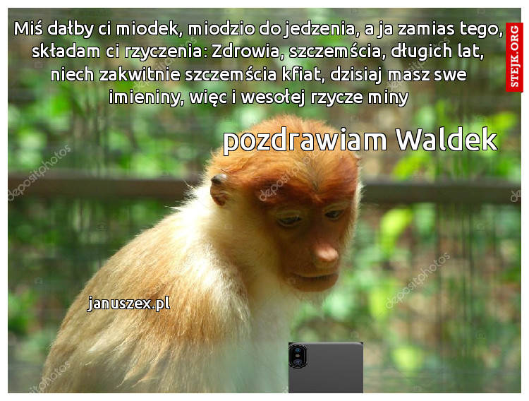 Miś dałby ci miodek, miodzio do jedzenia, a ja zamias tego, składam ci rzyczenia: Zdrowia, szczemścia, długich lat, niech zakwitnie szczemścia kfiat, dzisiaj masz swe imieniny, więc i wesołej rzycze miny
