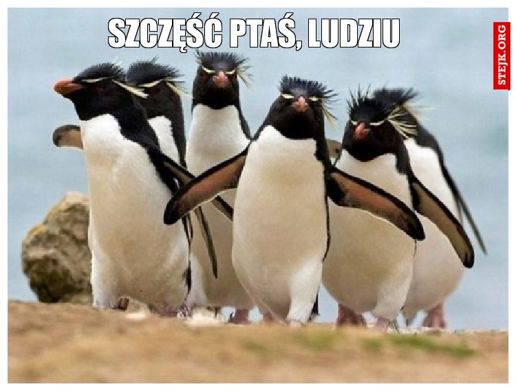 Szczęść Ptaś, lUDZIU