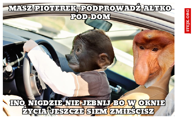 Masz Pioterek, podprowadź ałtko pod dom