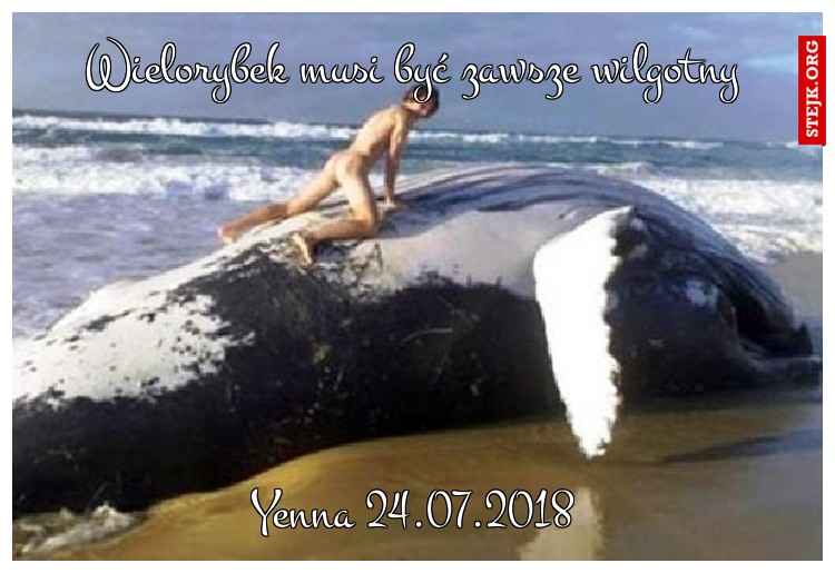 Wielorybek musi być zawsze wilgotny