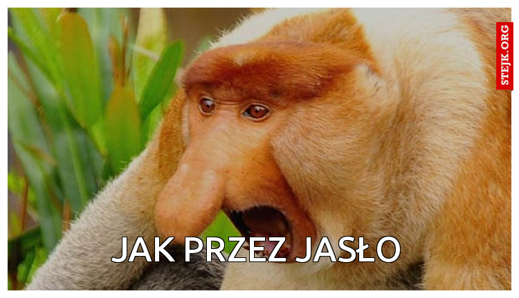 JAK PRZEZ JASŁO