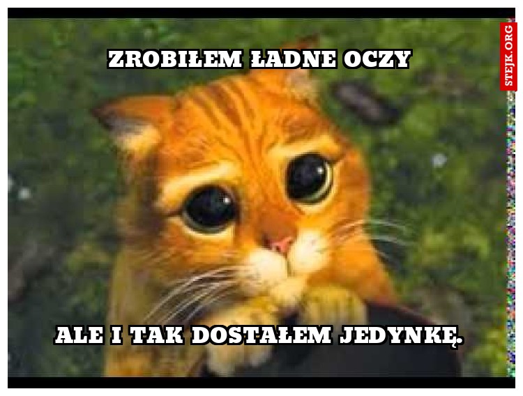 zrobiłem ładne oczy