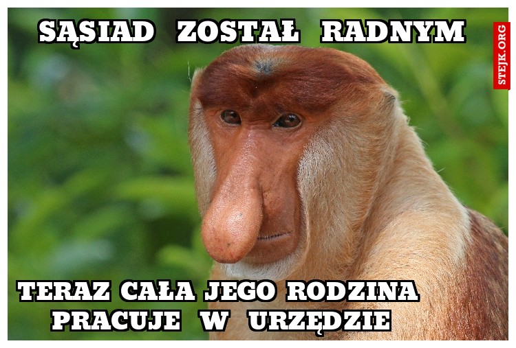 sąsiad  został  radnym
