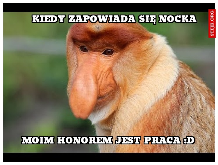 KIEDY WZYWAM MNIE NOCKA