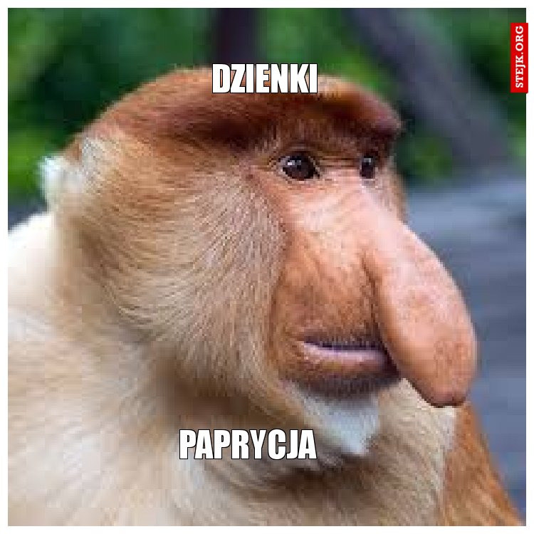 Dzienki