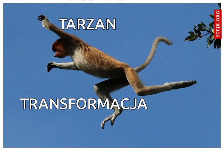 Tarzan