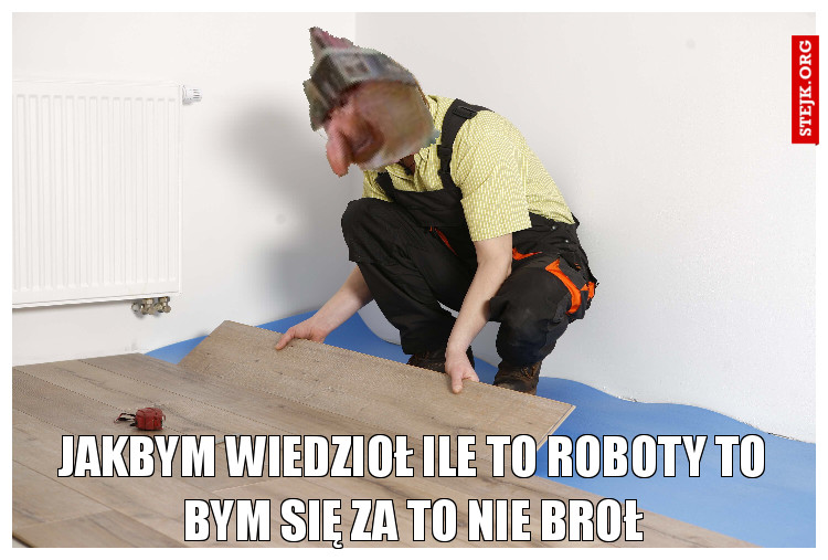 Janusz i panele