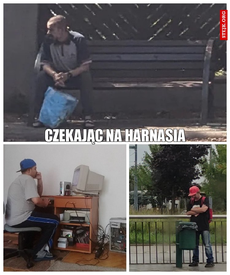 Czekając na harnasia