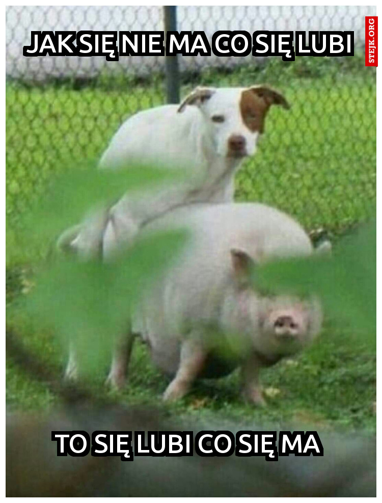 Jak się nie ma co się lubi