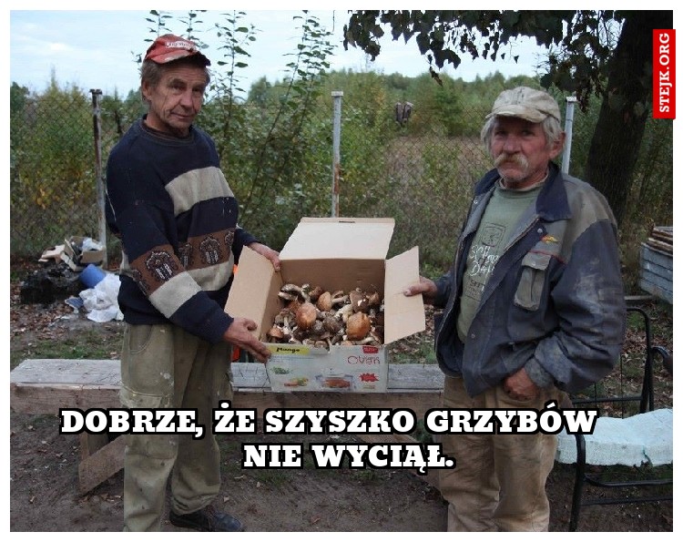 Dobrze, że Szyszko grzybów     nie wyciął. 