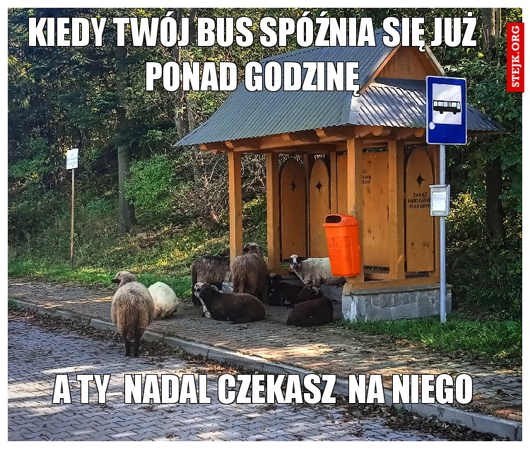 kiedy twój bus spóźnia się już ponad godzinę
