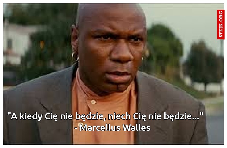 "A kiedy Cię nie będzie, niech Cię nie będzie..."        - Marcellus Walles