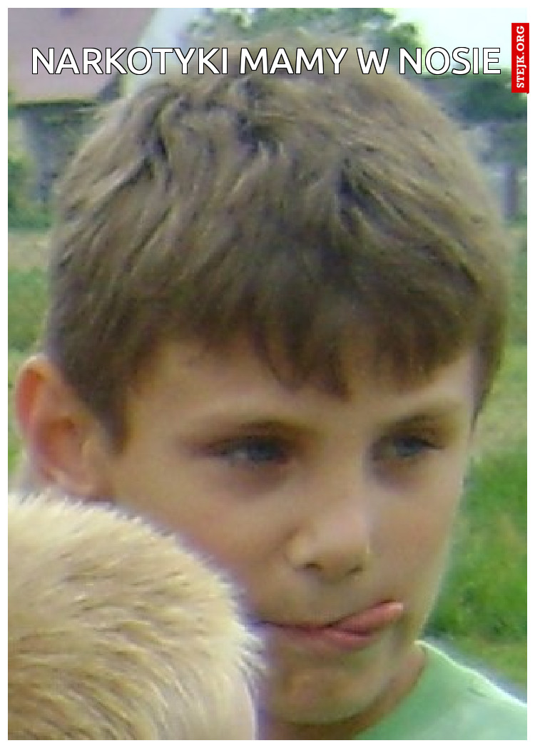 narkotyki mamy w nosie