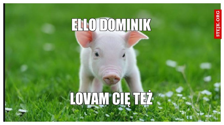 ello dominik