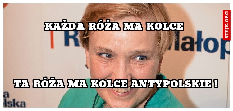 każda róża ma kolce 