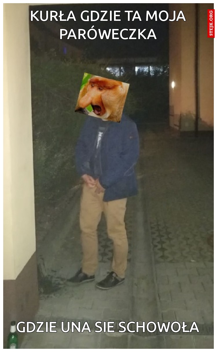 KURŁA GDZIE TA MOJA PARÓWECZKA