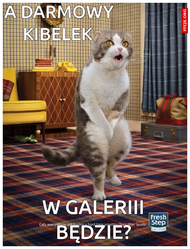 a darmowy kibelek 