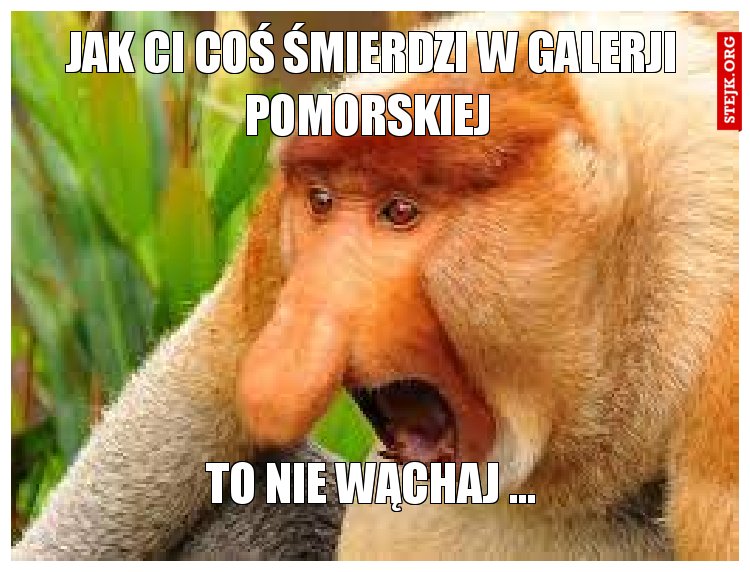 JAK CI COŚ ŚMIERDZI W GALERJI POMORSKIEJ 