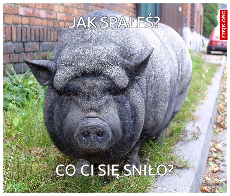 Jak spałeś?