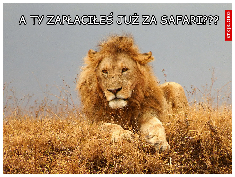 A TY ZAPŁACIŁEŚ JUŻ ZA SAFARI???