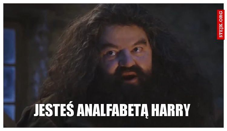 JESTEŚ ANALFABETĄ HARRY
