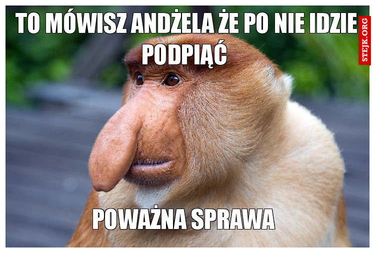 To mówisz andżela że po nie idzie podpiąć 