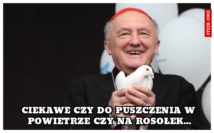 ciekawe czy do puszczenia w powietrze czy na rosołek...