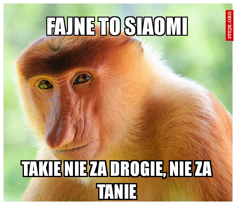 FAJNE TO SIAOMI