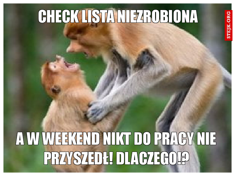 Check lista niezrobiona