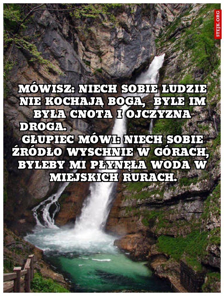 Mówisz: Niech sobie ludzie nie kochają Boga,  Byle im była cnota i Ojczyzna droga.                                  Głupiec mówi: Niech sobie źródło wyschnie w górach,  Byleby mi płynęła woda w miejskich rurach.