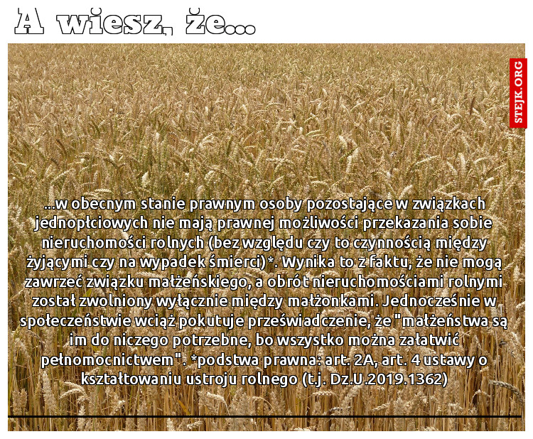 A wiesz, że...