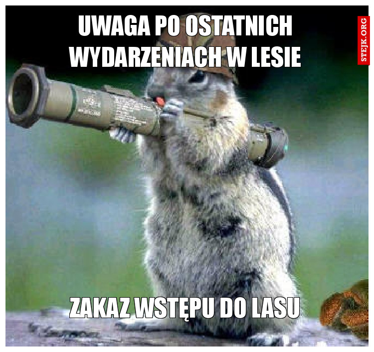 uwaga po ostatnich wydarzeniach w lesie