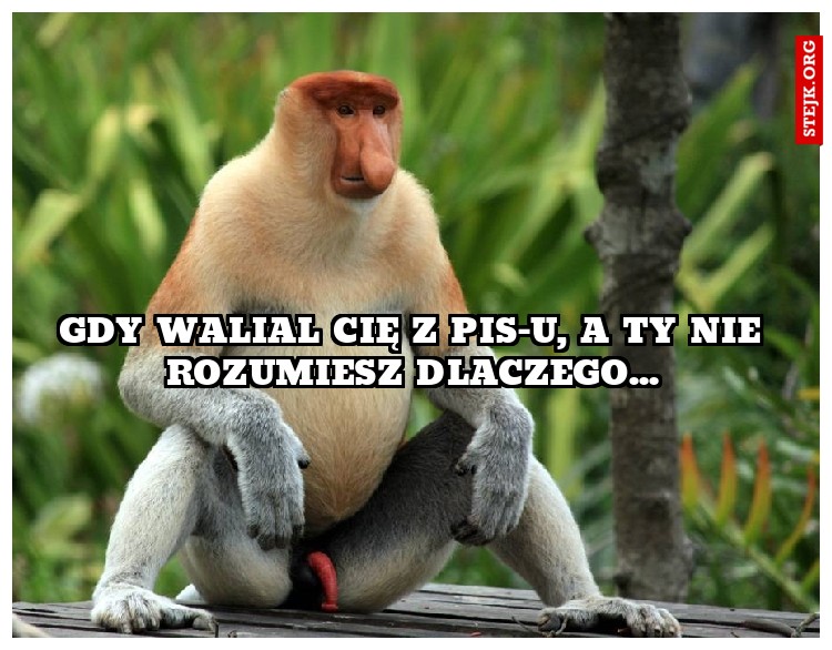 Gdy walial cię z pis-u, a ty nie rozumiesz dlaczego...