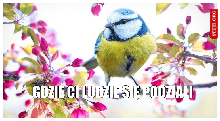 gdzie ci ludzie się podziali