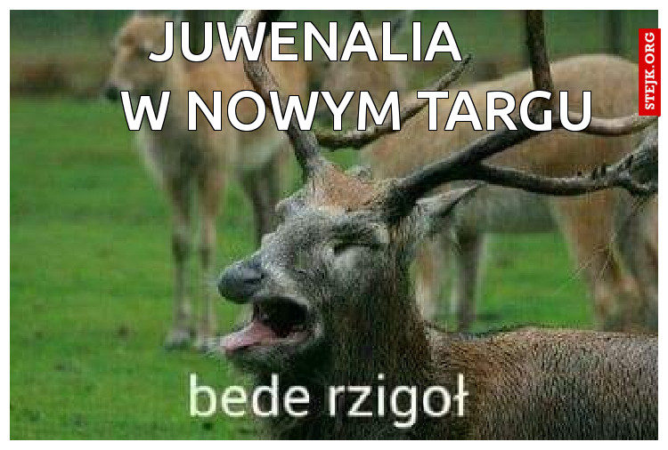           juwenalia                   w nowym targu