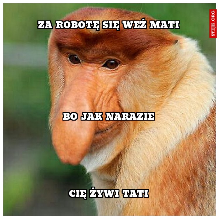 za robotę się weź mati