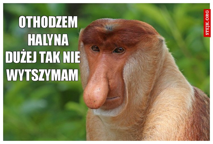 Othodzem Halyna