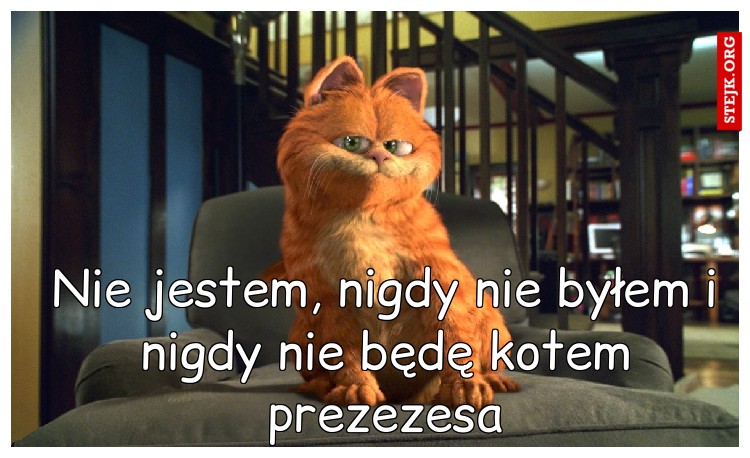 Nie jestem, nigdy nie byłem i nigdy nie będę kotem prezezesa