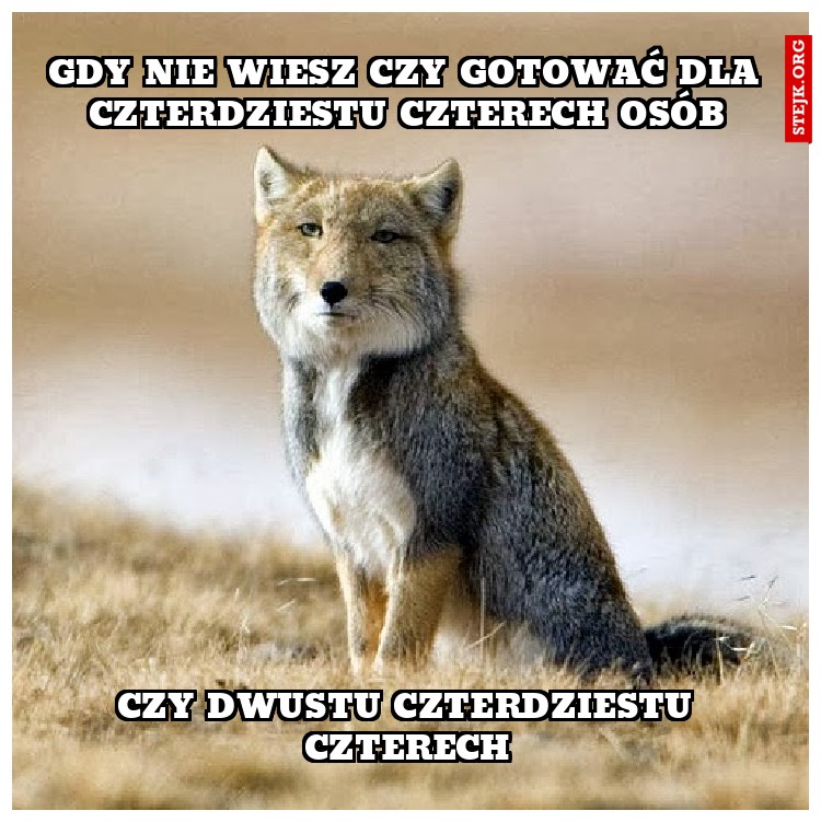 czy dwieście czterdzieści cztery