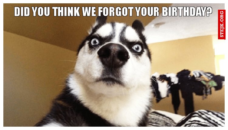 DID YOU THINK WE FORGOT YOUR BIRTHDAY?