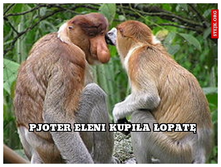 Pjoter Eleni kupiła łopatę