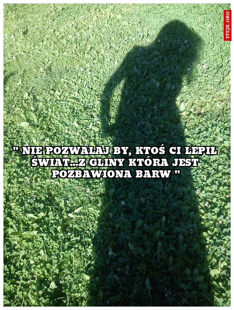 " Nie pozwalaj by, ktoś Ci lepił świat...z gliny która jest pozbawiona barw "