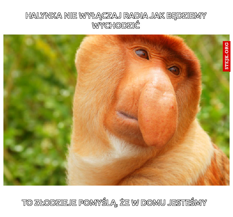 Halynka nie wyłączaj radia jak będziemy wychodzić