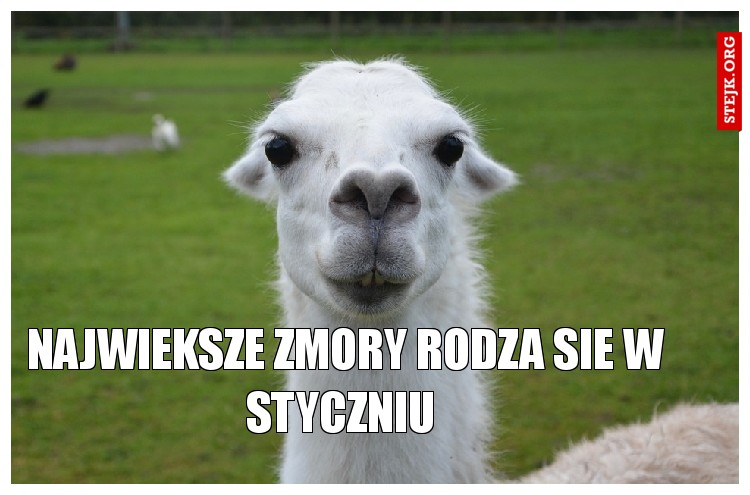 Najwieksze zmory rodza sie w styczniu 