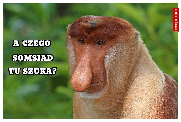 A czego